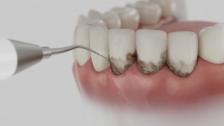 Reliable Dental contractor in Manchester, OH by Dentist Open Now